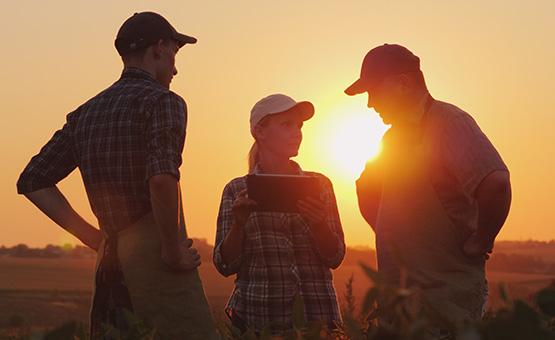 Farmers discussing crops and looking at tablet