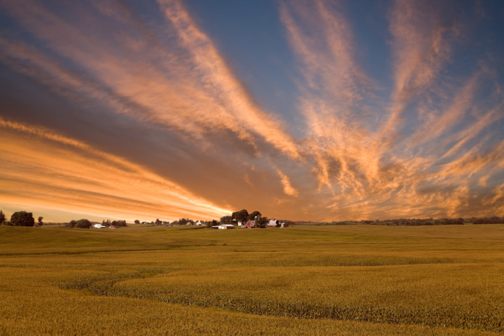 farmland by sunset