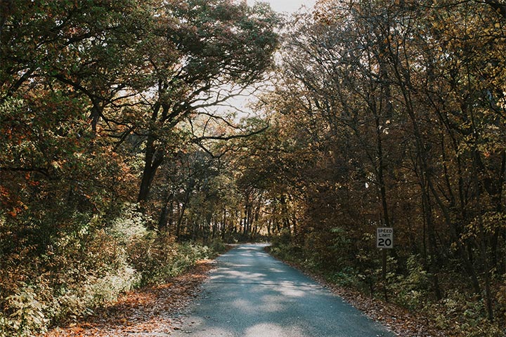 Scenic road